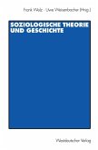Soziologische Theorie und Geschichte (eBook, PDF)