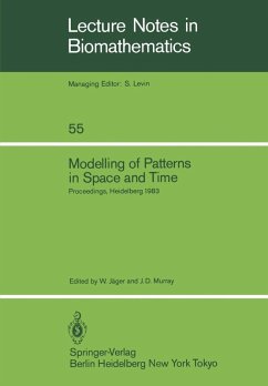 Cover Modelling of Patterns in Space and Time (eBook, PDF)