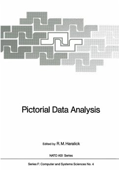 Cover Pictorial Data Analysis (eBook, PDF)