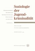 Soziologie der Jugendkriminalität (eBook, PDF)