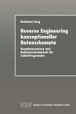 Reverse Engineering konzeptioneller Datenschemata (eBook, PDF)