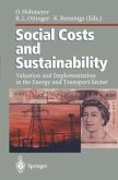Social Costs and Sustainability (eBook, PDF)