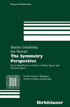 The Symmetry Perspective (eBook, PDF) - Golubitsky, Martin; Stewart, Ian