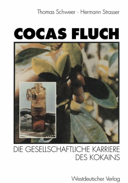 Cocas Fluch (eBook, PDF)