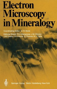 Electron Microscopy in Mineralogy (eBook, PDF)