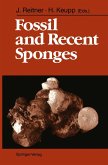 Fossil and Recent Sponges (eBook, PDF)