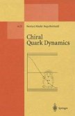 Chiral Quark Dynamics (eBook, PDF)