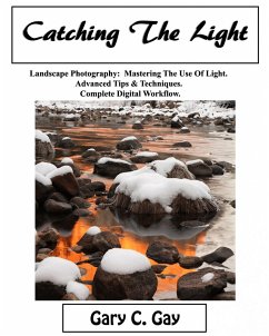 Cover Catching the Light (eBook, ePUB)