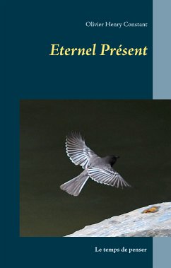 Eternel Présent (eBook, ePUB)