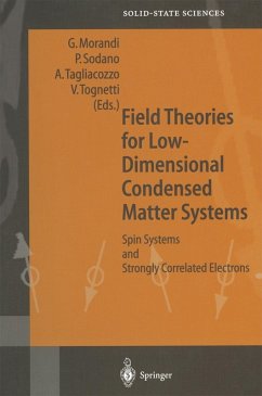 Cover Field Theories for Low-Dimensional Condensed Matter Systems (eBook, PDF)