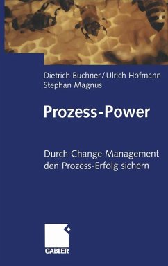 Cover Prozess-Power (eBook, PDF)