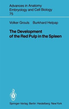 The Development of the Red Pulp in the Spleen (eBook, PDF) - Grouls, V.; Helpap, B.