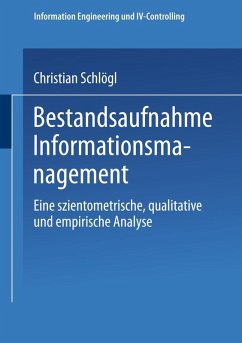 Bestandsaufnahme Informationsmanagement (eBook, PDF) - Schlögl, Christian