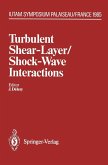 Turbulent Shear-Layer/Shock-Wave Interactions (eBook, PDF)
