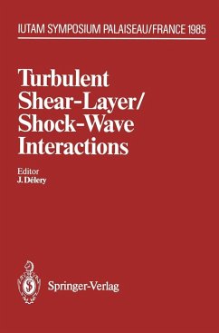 Turbulent Shear-Layer/Shock-Wave Interactions (eBook, PDF)