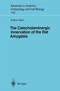 The Catecholaminergic Innervation of the Rat Amygdala (eBook, PDF) - Asan, Esther