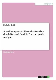 Auswirkungen von Wasserkraftwerken durch Bau und Betrieb. Eine integrative Analyse - Größ, Nathalie