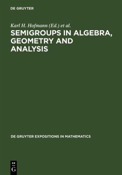 Cover Semigroups in Algebra, Geometry and Analysis (eBook, PDF)
