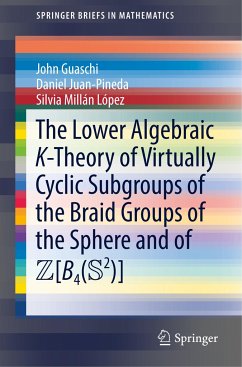 The Lower Algebraic K-Theory of Virtually Cyclic Subgroups of the Braid Groups of the Sphere and of ZB4(S2) - Guaschi, John;Juan-Pineda, Daniel;Millán López, Silvia