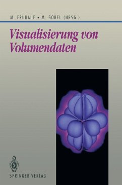 Visualisierung von Volumendaten (eBook, PDF)