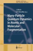 Many-Particle Quantum Dynamics in Atomic and Molecular Fragmentation (eBook, PDF)