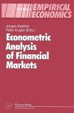 Econometric Analysis of Financial Markets (eBook, PDF)
