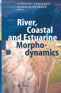 River, Coastal and Estuarine Morphodynamics (eBook, PDF)