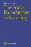 The Social Foundations of Meaning (eBook, PDF)