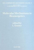 Molecular Mechanisms in Bioenergetics (eBook, PDF)