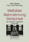 Weltbilder Wahrnehmung Wirklichkeit (eBook, PDF)