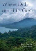 Where Did the Hills Go (eBook, ePUB)
