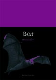Bat (eBook, ePUB)