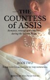 Countess of Assis - Romance, Revenge and Ambition during the Second Reign (eBook, ePUB)