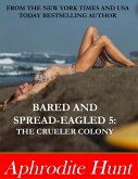 Bared and Spread-eagled 5: The Crueler Colony (eBook, ePUB)