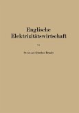 Englische Elektrizitätswirtschaft (eBook, PDF)