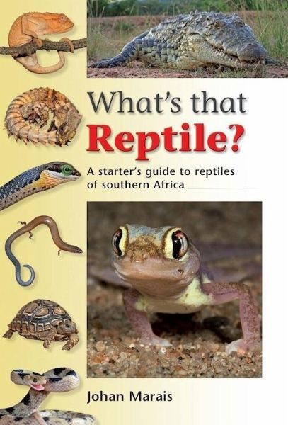 What's that Reptile? (eBook, PDF) What's that Reptile? (eBook, PDF)