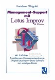 Management-Support mit Lotus Improv (eBook, PDF)