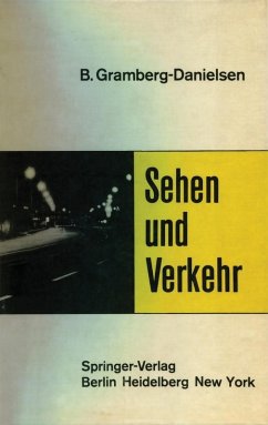 Sehen und Verkehr (eBook, PDF) - Gramberg-Danielsen, Berndt