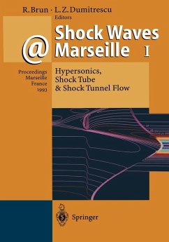 Shock Waves @ Marseille I (eBook, PDF)