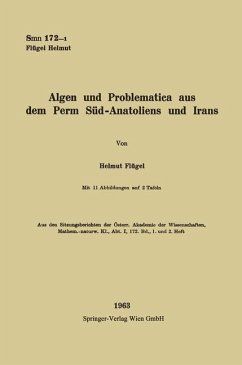 Algen und Problematica aus dem Perm Süd-Anatoliens und Irans (eBook, PDF) - Flügel, Helmut W.