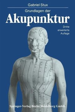 Grundlagen der Akupunktur (eBook, PDF) - Stux, Gabriel
