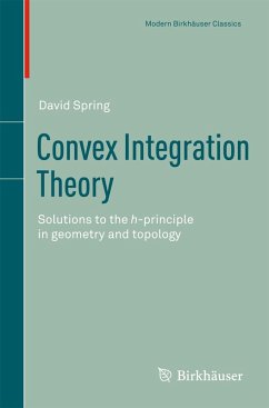 Convex Integration Theory (eBook, PDF) - Spring, David