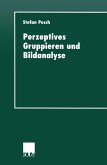 Perzeptives Gruppieren und Bildanalyse (eBook, PDF)
