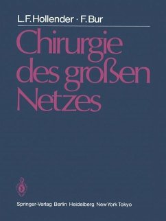 Cover Chirurgie des großen Netzes (eBook, PDF)