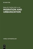 Migration and Urbanization (eBook, PDF)