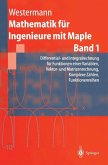 Mathematik für Ingenieure mit Maple (eBook, PDF)
