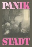 Panik Stadt (eBook, PDF)