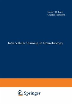 Intracellular Staining in Neurobiology (eBook, PDF)