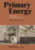 Primary Energy (eBook, PDF)