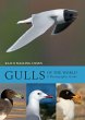 Gulls of the World (eBook, PDF) - Bild 1